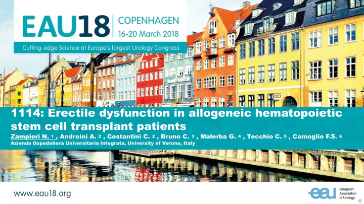 Erectile Dysfunction in Allogeneic Hematopoietic Stem Cell Transplant Patients Study