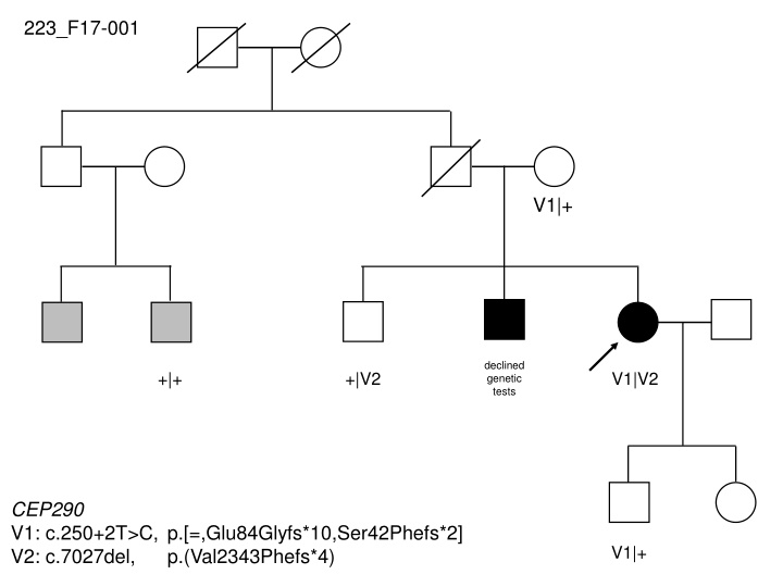 Genetic Test Findings Overview