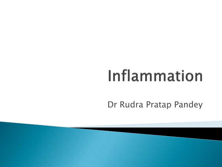Initial Physiological Response to Tissue Damage and Inflammation