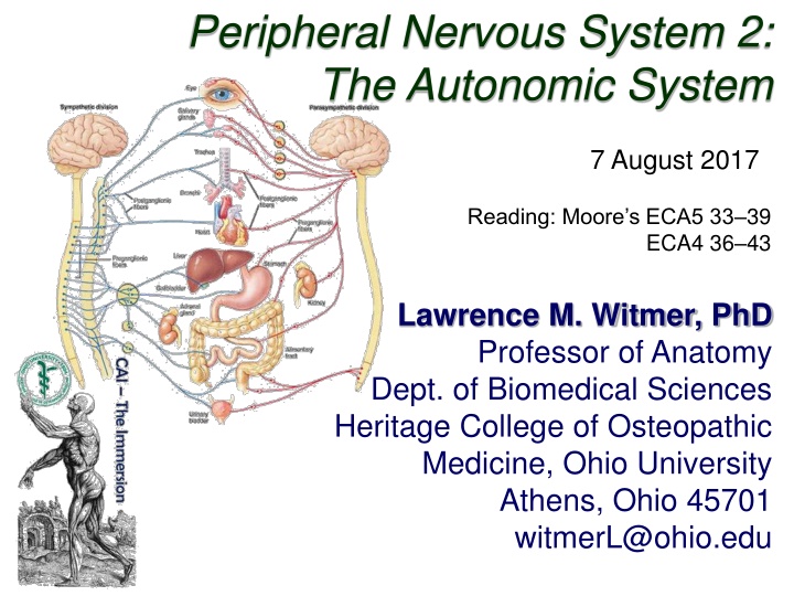 Overview of the Autonomic Nervous System