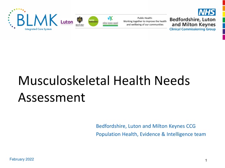 Musculoskeletal Health Needs Assessment - Insights and Data