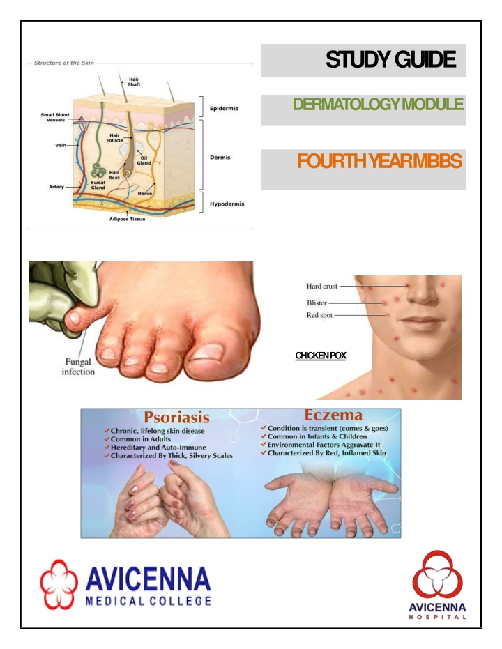 Dermatology Study Guide for 4th Year MBBS Students