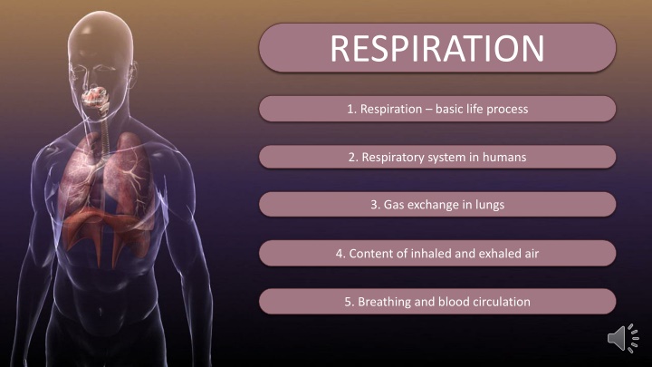 Respiration: Essential Life Process