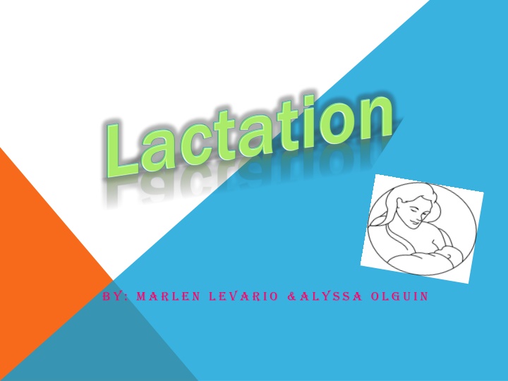 Stages of Lactation: Understanding Mammary Glands and Hormones