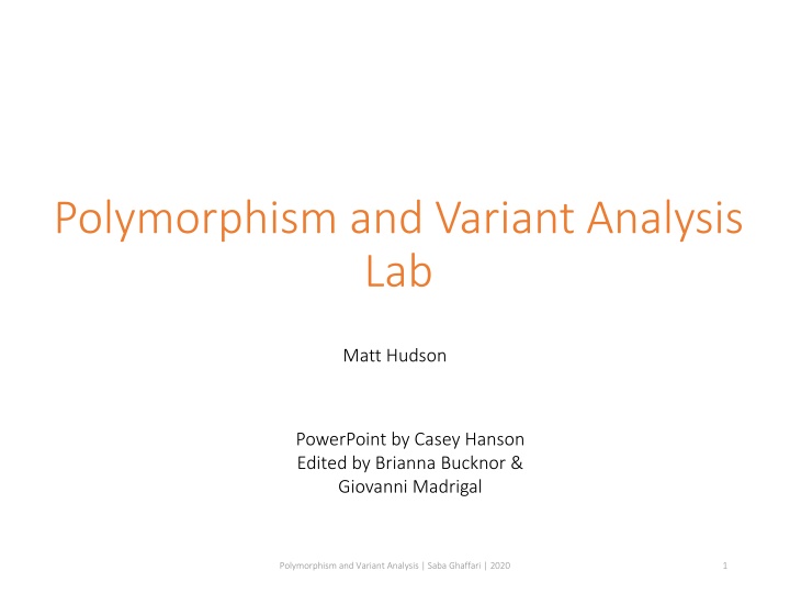 Polymorphism and Variant Analysis