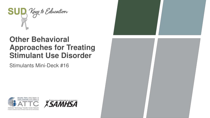 Other Behavioral Approaches for Treating Stimulant Use Disorder