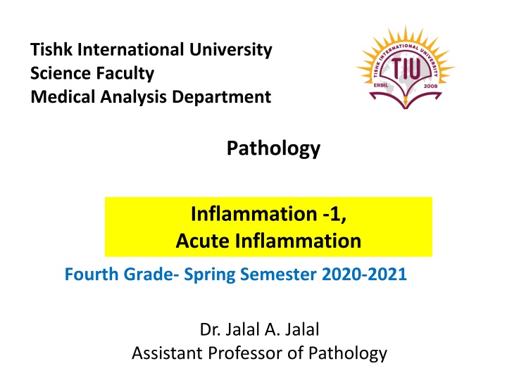 Pathology Inflammation -1,  Acute Inflammation