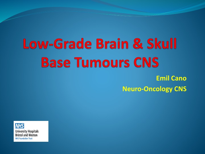 Enhanced Support for Neuro-Oncology Patients
