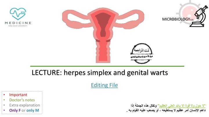 LECTURE: herpes simplex and genital warts
