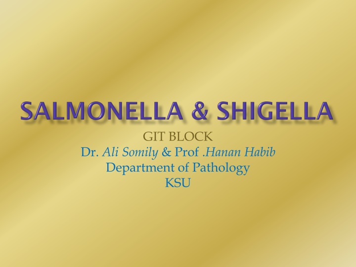 Salmonella Infections: Pathology and Transmission Insights