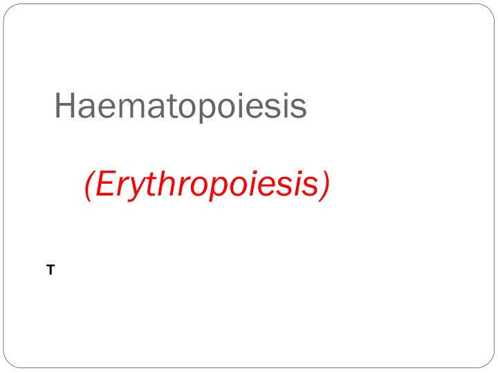 Haematopoiesis