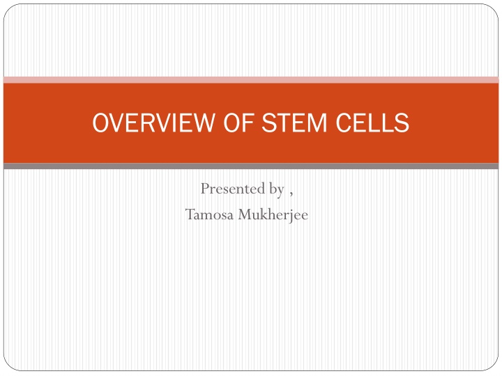 OVERVIEW OF STEM CELLS