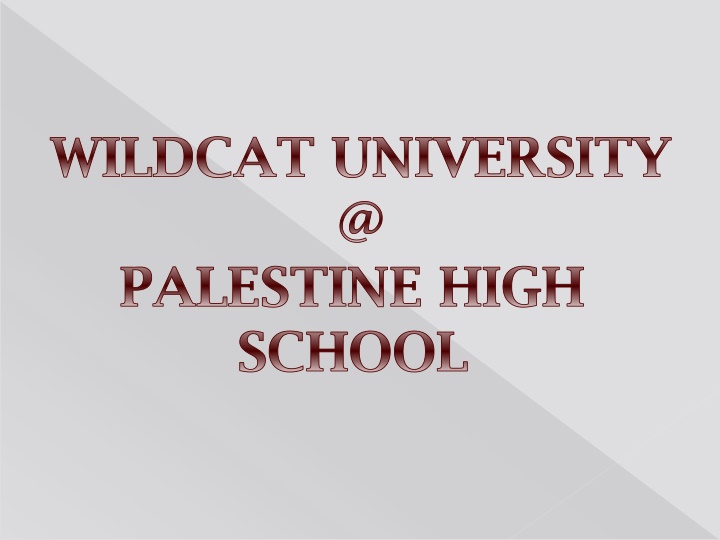 Wildcat University Dual Credit Program at Palestine High School