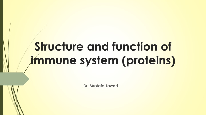 Structure and Function of Immune System Proteins