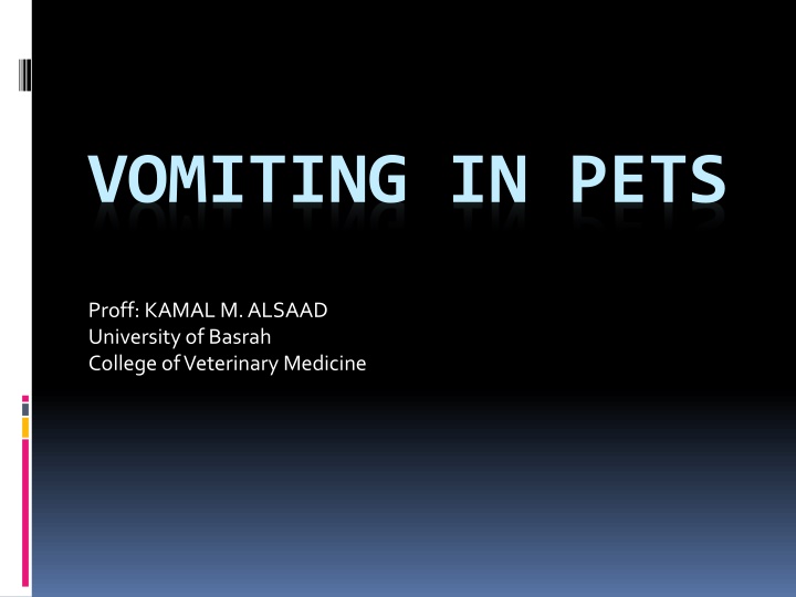 VOMITING IN PETS