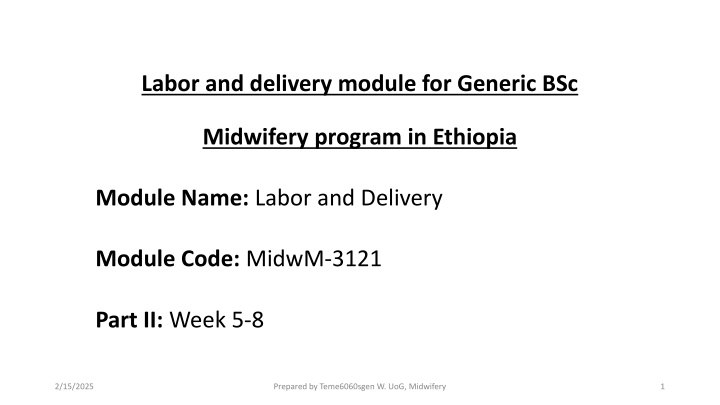 Labor and Delivery Module for BSc Midwifery Program in Ethiopia