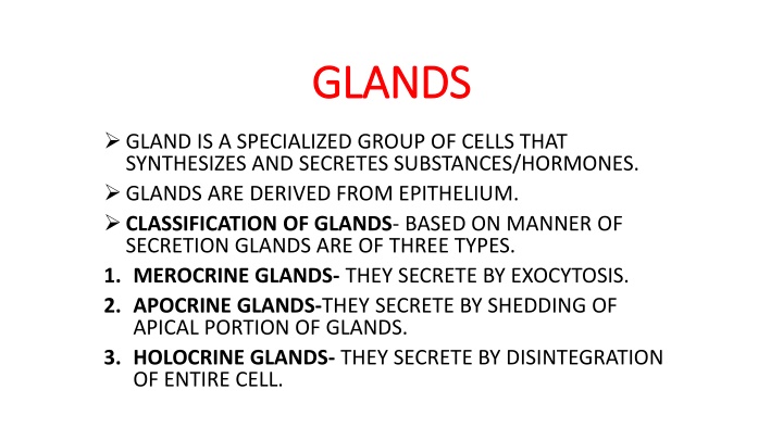 Glands: Types, Classification, and Functions