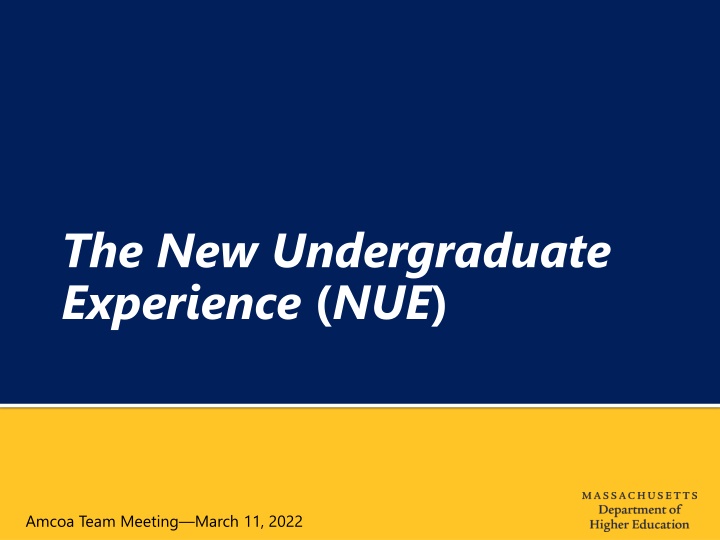 The New Undergraduate Experience
