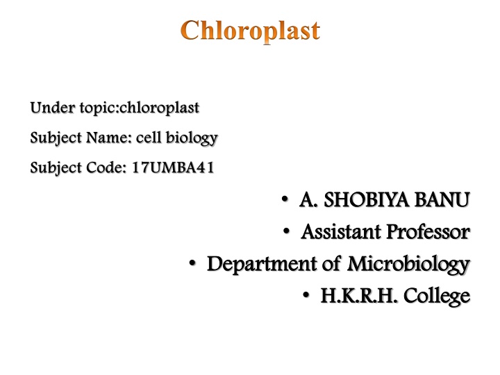 Chloroplast