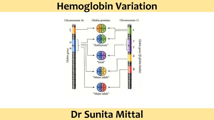 Hemoglobin Variation