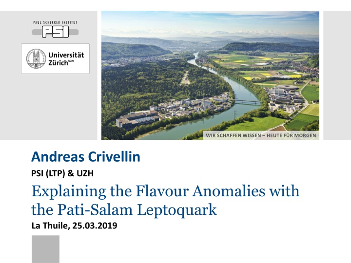 Unraveling Flavour Anomalies with Leptoquarks