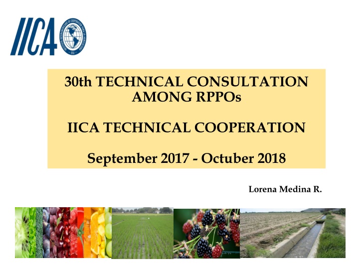 Technical Cooperation and Hemispheric Actions: Enhancing Institutional Strengths