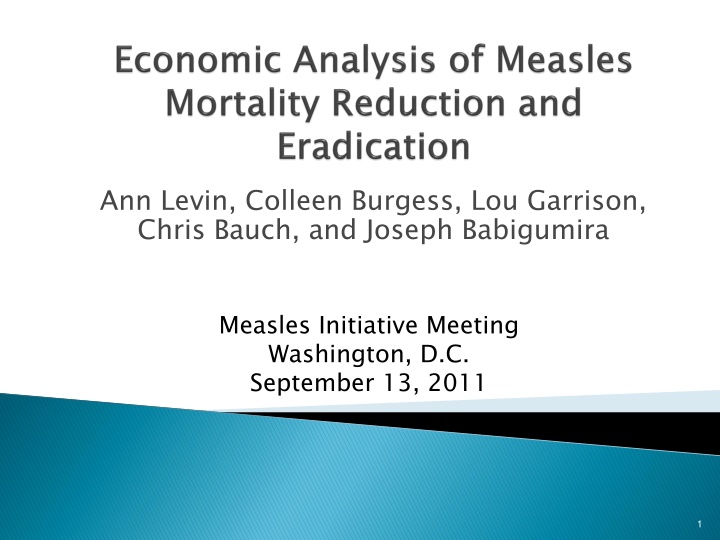 Measles Reduction Strategies and Cost-Effectiveness Assessment