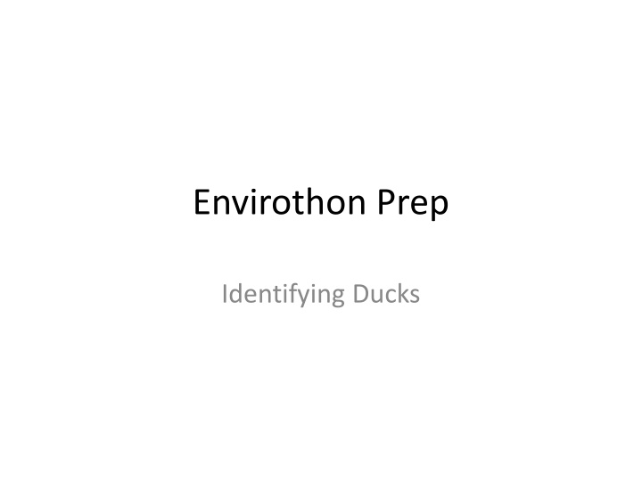Identifying Ducks for Envirothon Prep