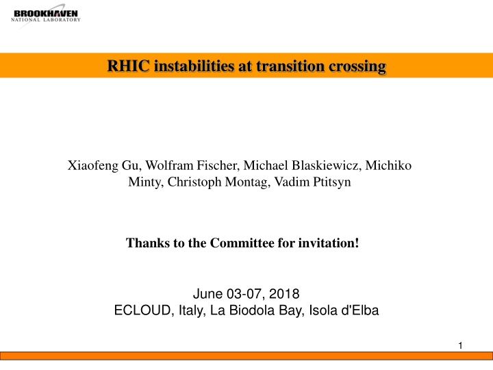 RHIC instabilities at transition crossing