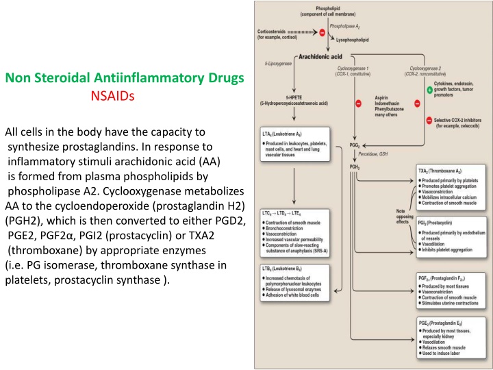 Non Steroidal Antiinflammatory Drugs