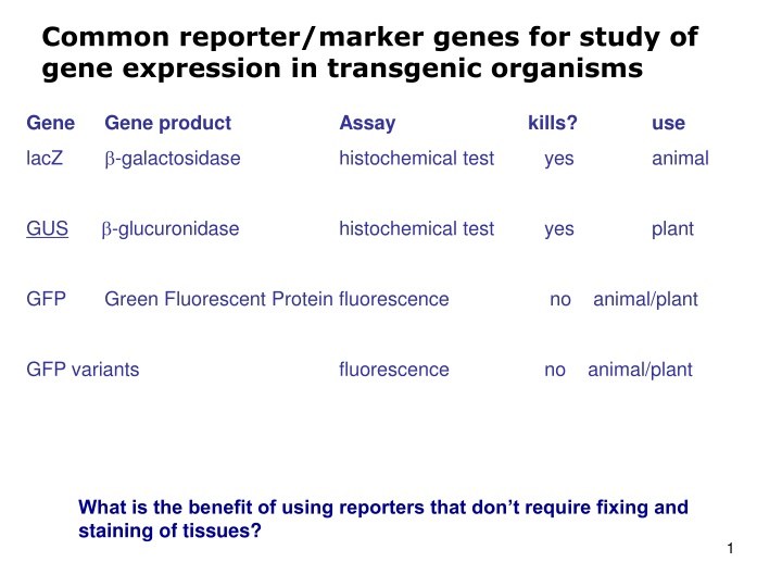 Reporter Genes in Gene Expression: Utilizing LacZ, GUS, and GFP