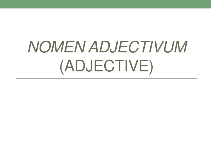 NOMEN ADJECTIVUM