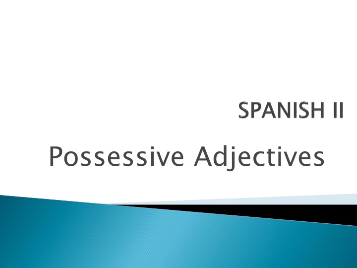 Possessive Adjectives