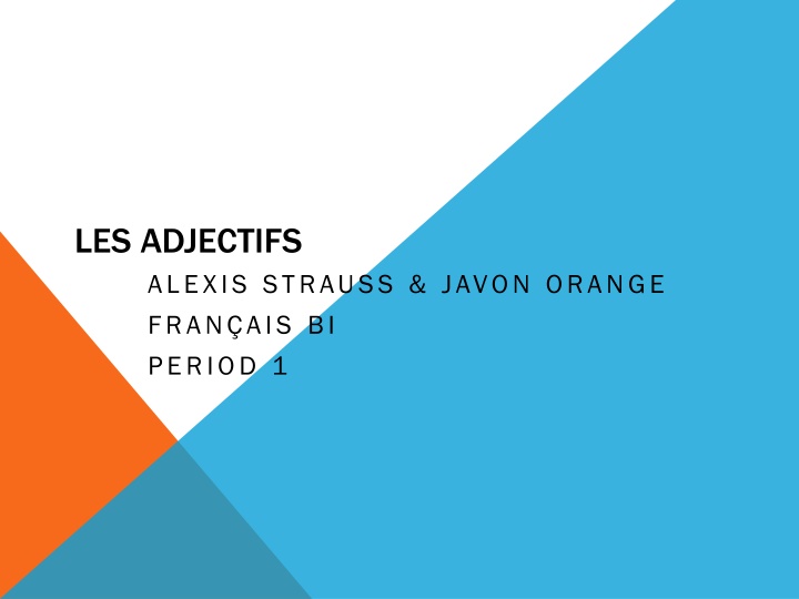 LES ADJECTIFS