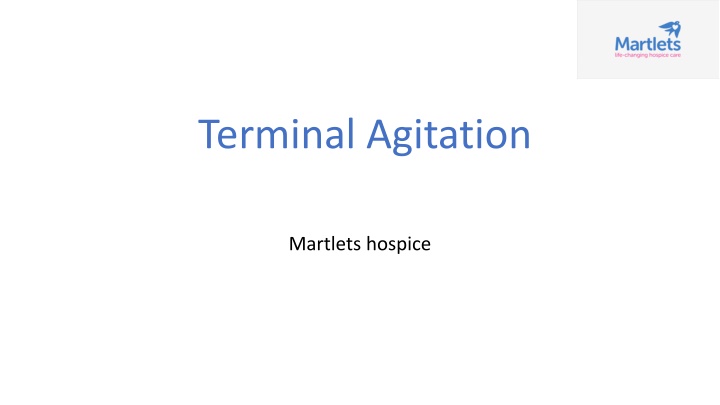 Terminal Agitation