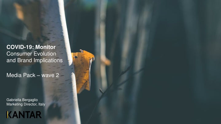 COVID-19: Monitor