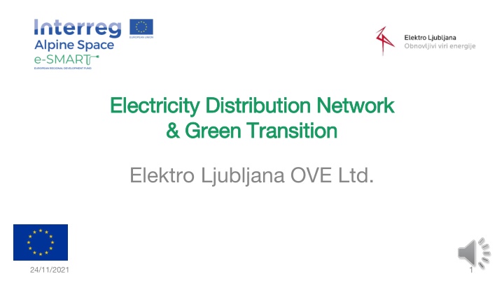 Electricity Distribution Network  & Green Transition