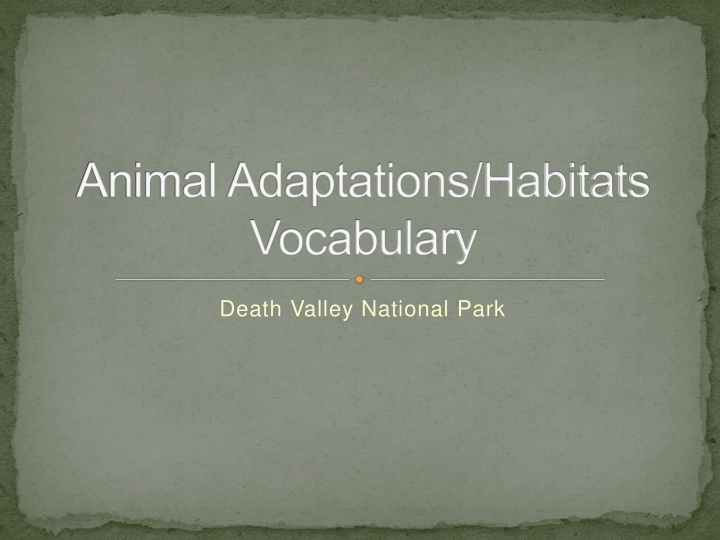 Animal Adaptations/Habitats Vocabulary