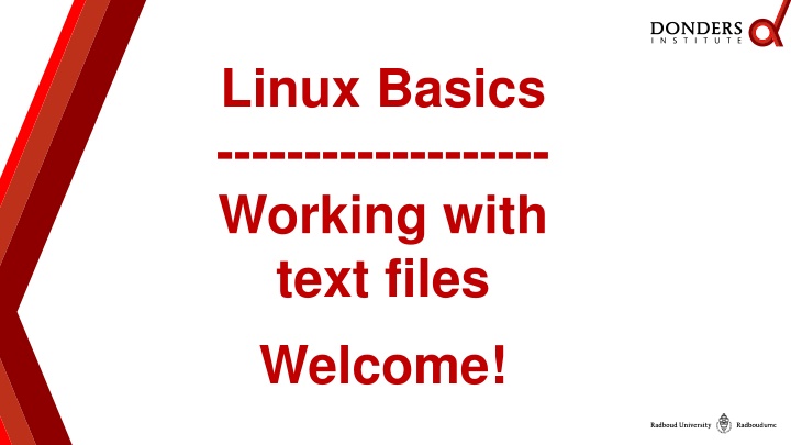 Linux Basics: Working with Text Files