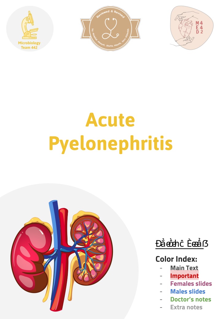 Acute Pyelonephritis