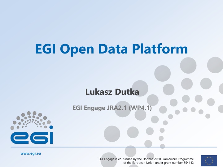 EGI Open Data Platform