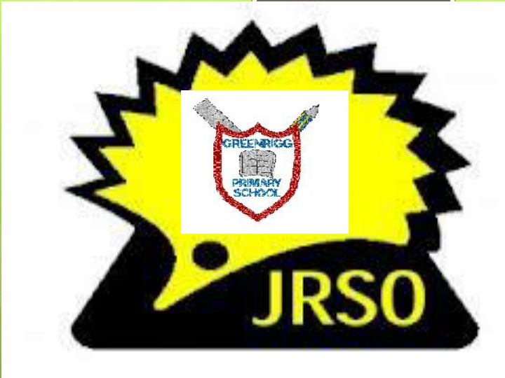 Junior Road Safety Officers - Making Roads Safer for Children