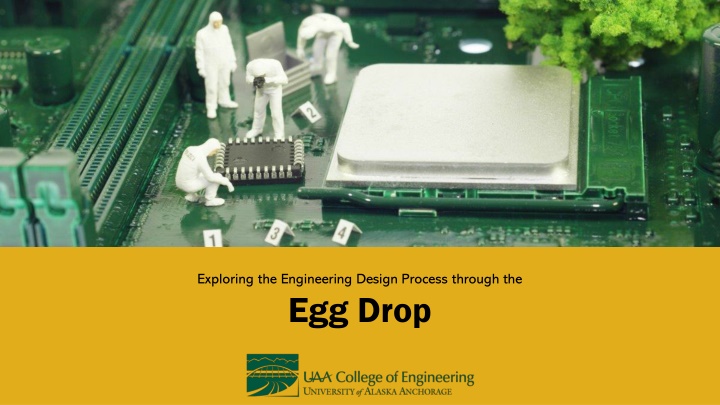 Egg Drop Challenge: Engineering Design and Testing