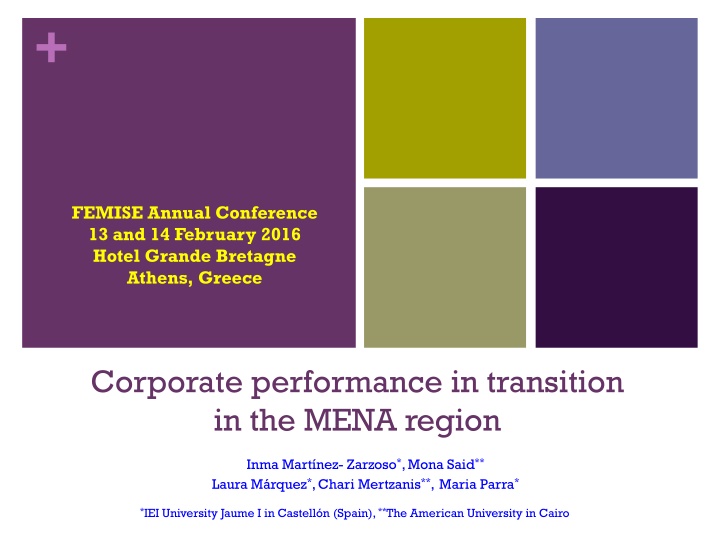 Corporate Performance in Transition: MENA Region Study