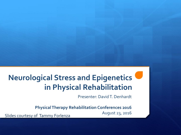 Neurological Stress and Epigenetics in Physical Rehabilitation: Recent Advances