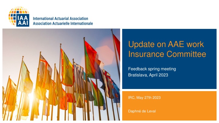 Update on AAE work Insurance Committee
