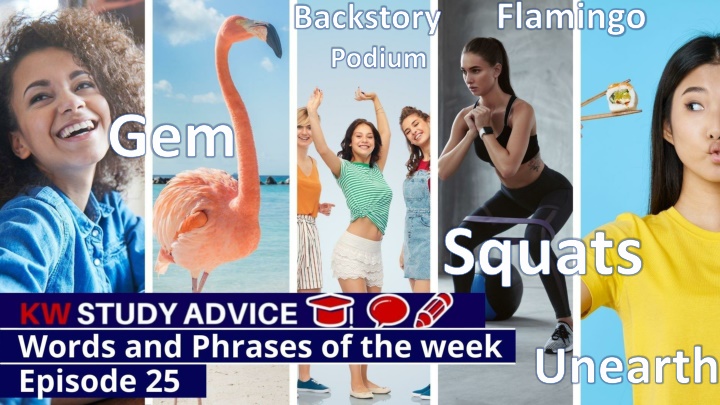 Discovering Flamingos, Squats, and More