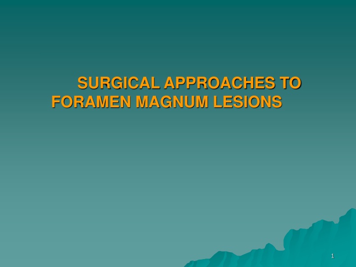 Surgical Approaches to Foramen Magnum Lesions