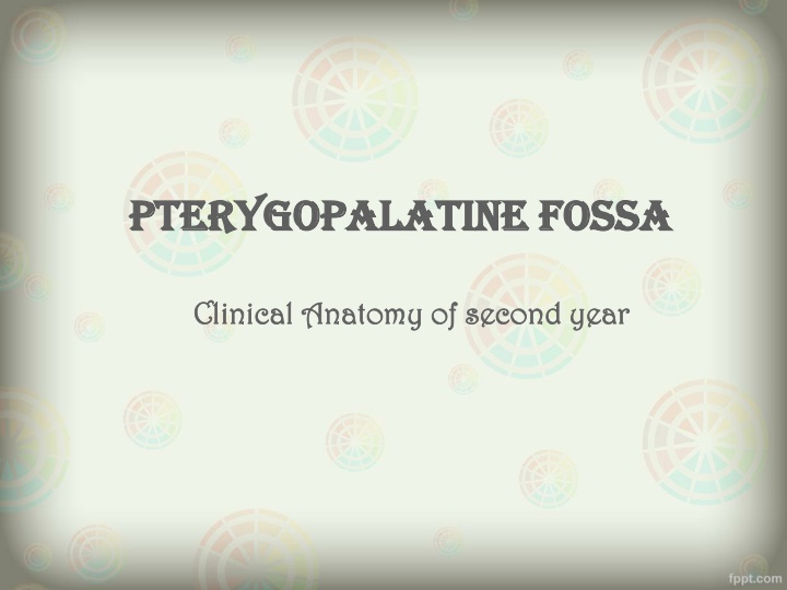 Pterygopalatine fossa