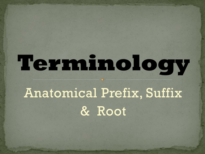 Terminology